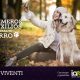 primeros-auxilios-mascotas