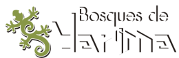 BOSQUES-DE-YARIMA-LOGO